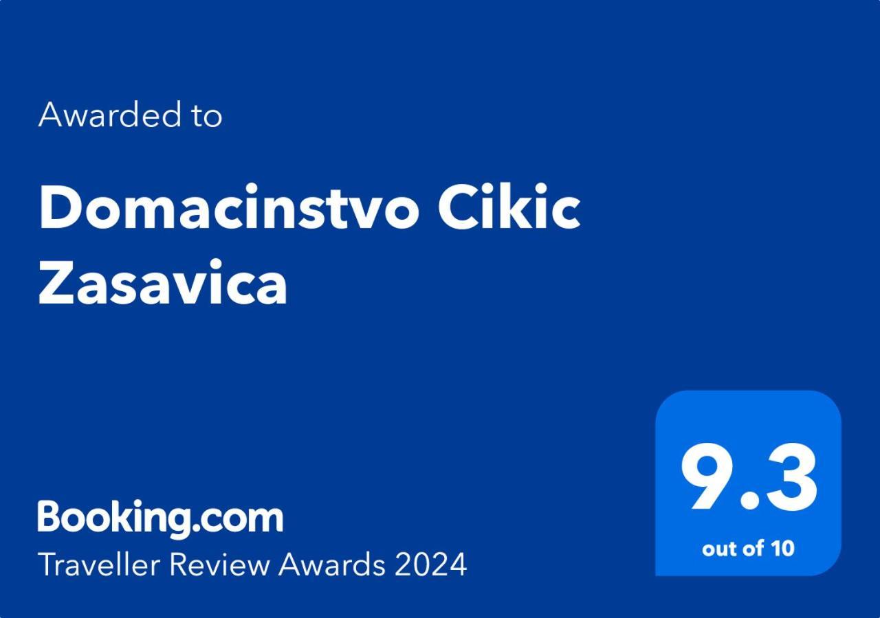 Domacinstvo Cikic Zasavica Pensionat Exteriör bild